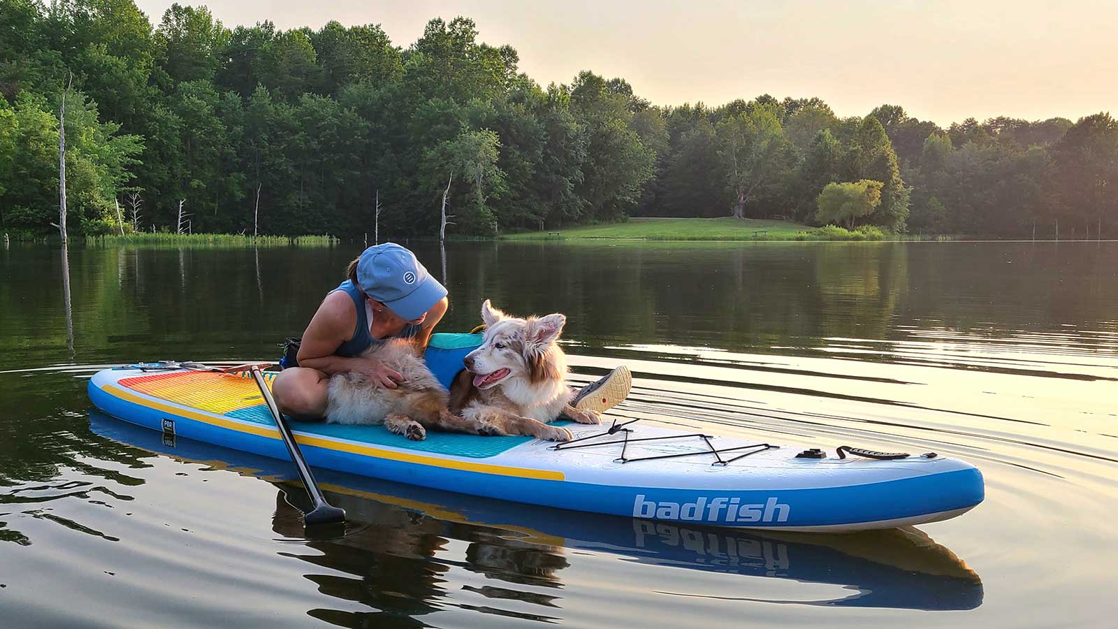 Travel with a senior dog