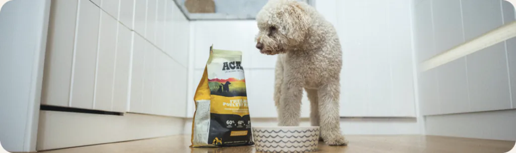 A curly-coated dog at its bowl beside a bag of ACANA in a white kitchen