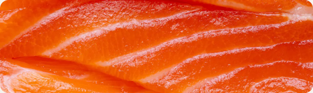 Close-up of a fresh raw salmon fillet