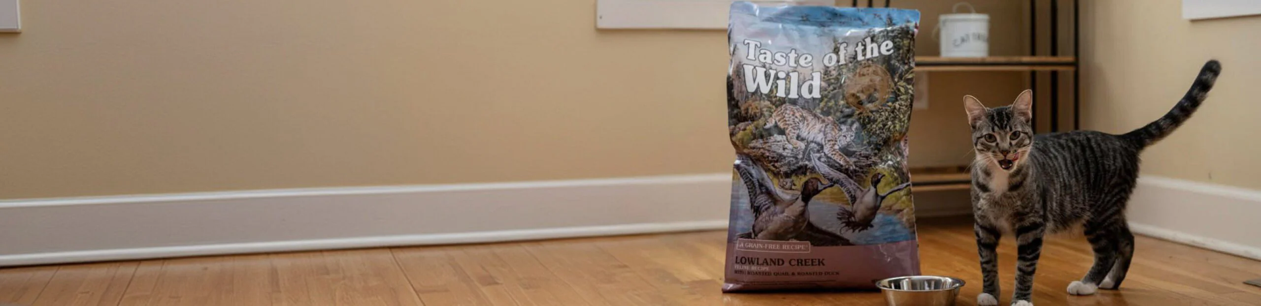 A tabby cat beside a bag of Taste of the Wild Lowland Creek and a food bowl